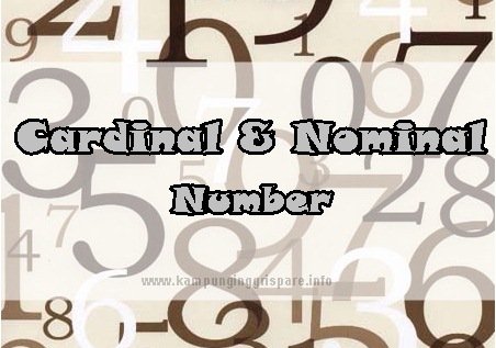 cardinal dan ordinal number